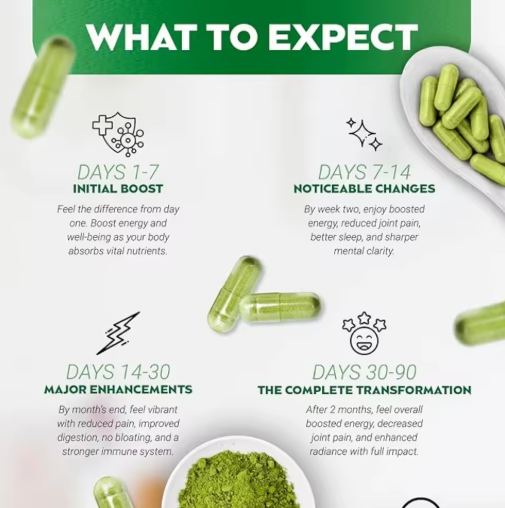 Premium Moringa Powder โ The Ultimate Green Superfood for Energy, Immunity, and Vitality